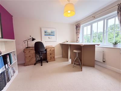 Picture 19